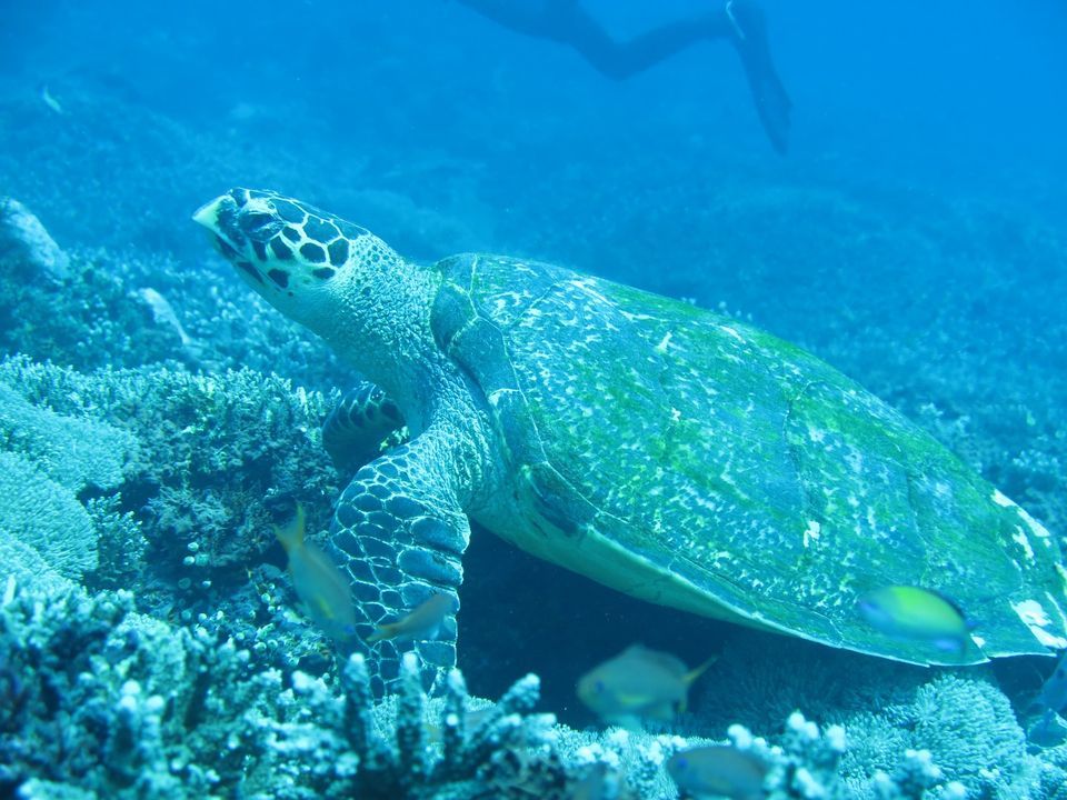 e36d855d-2c5e-4171-8287-ab3faa65b4d0