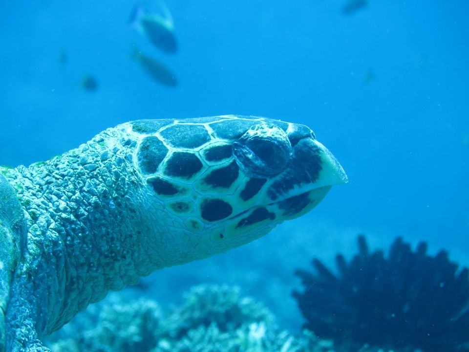 e36d855d-2c5e-4171-8287-ab3faa65b4d0