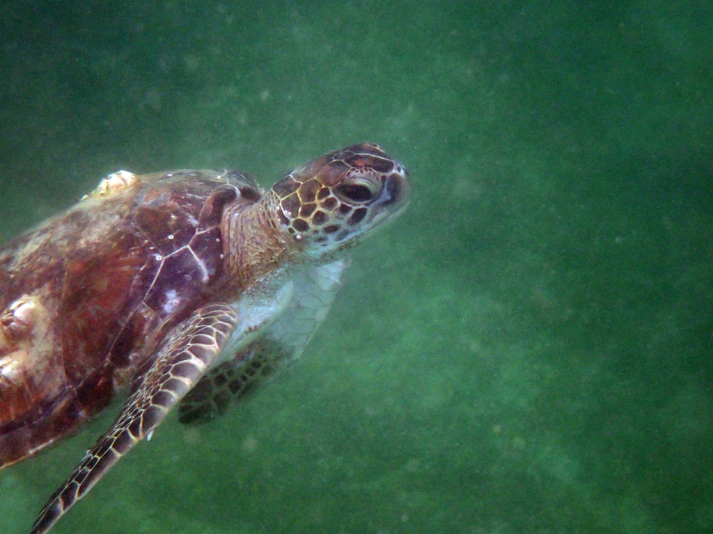 734dcc77-1a6a-46e7-ae62-c5dc8fd20997