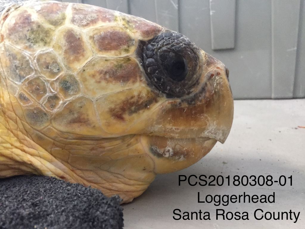 7f45fa63-4b56-4033-840a-044deb4ce047