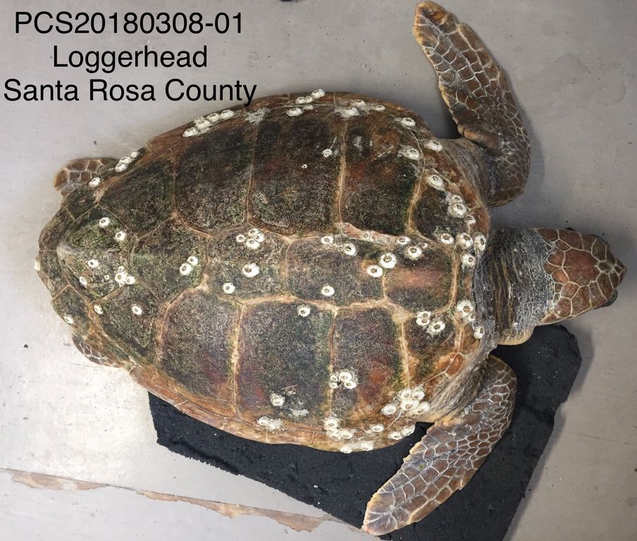 7f45fa63-4b56-4033-840a-044deb4ce047