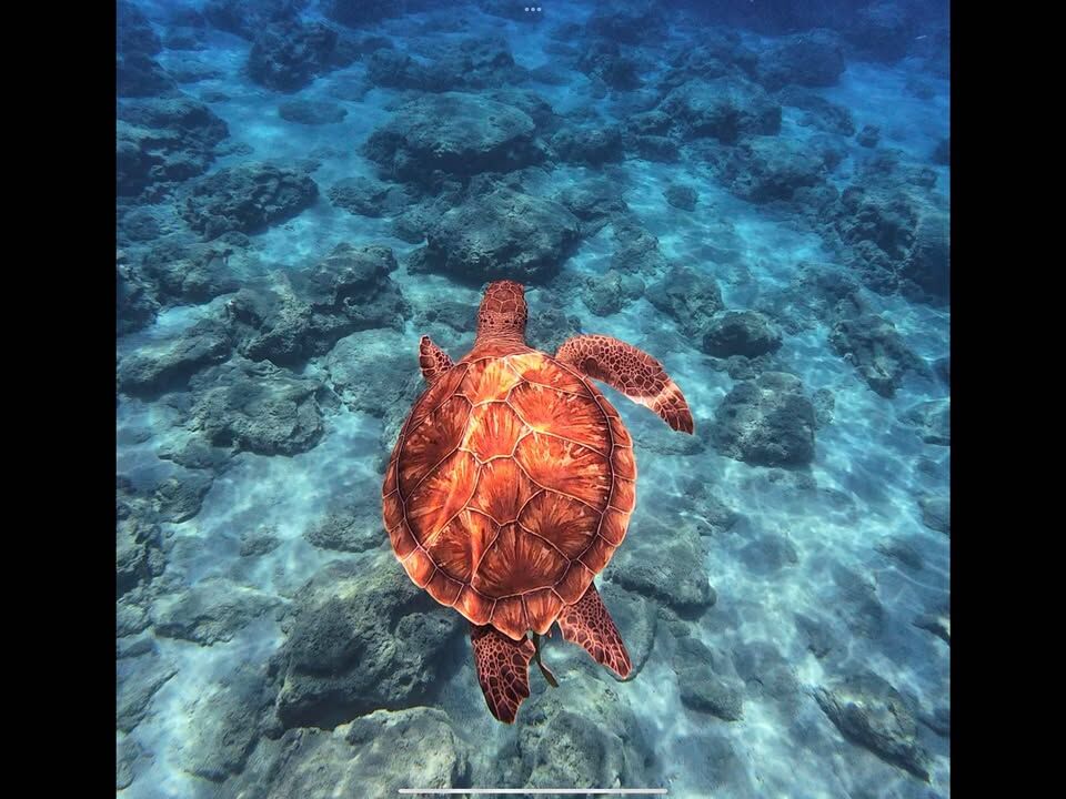 036cfe70-bcbb-4ae1-81eb-e0d5f6575de9