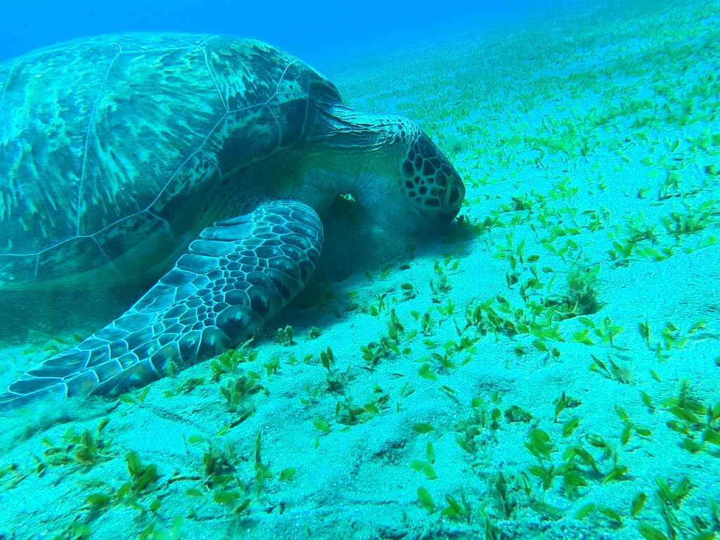 efdda73e-e395-4ac9-a10f-92978a30bdab