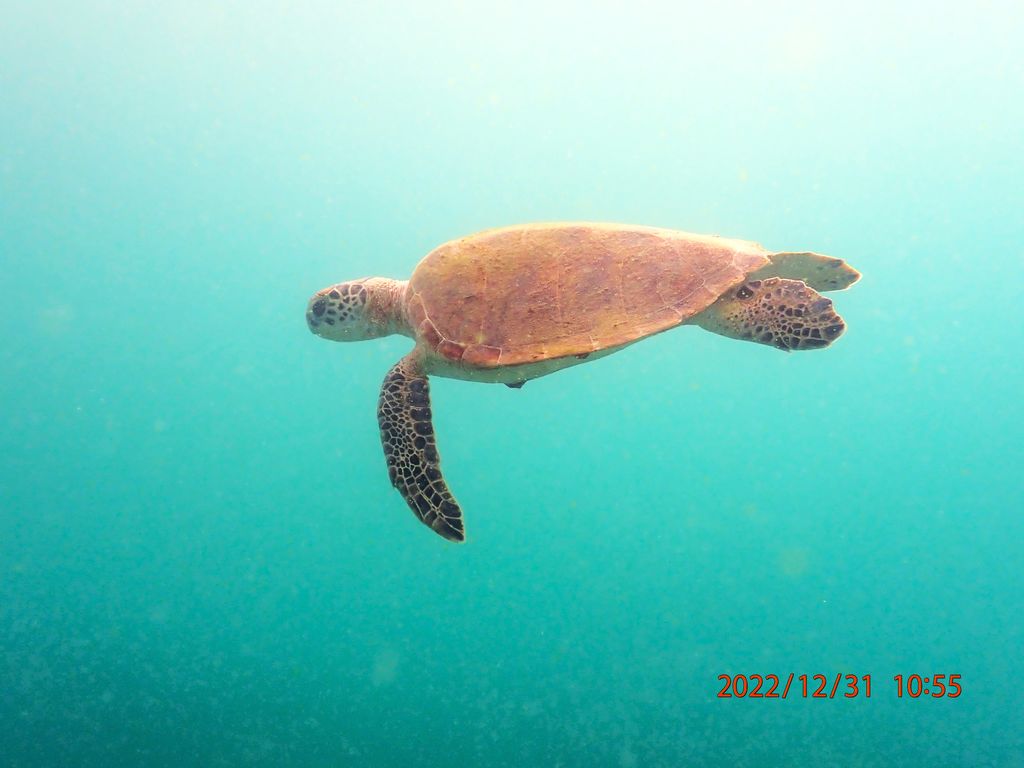 1adb12b3-768b-47ab-8b25-2dd38fce38b9