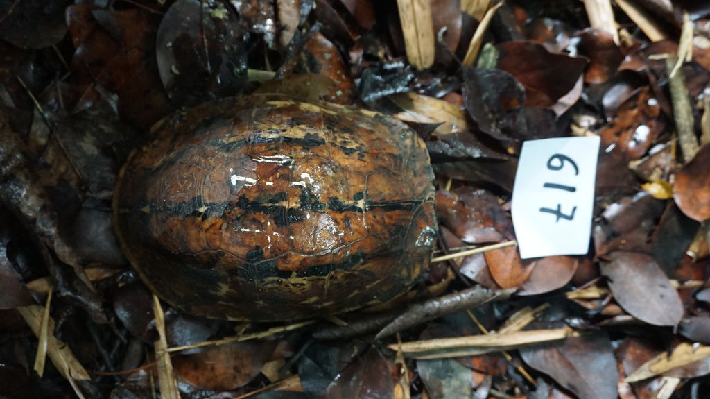 05afde1a-d338-45d6-96e5-3f9b413bef80