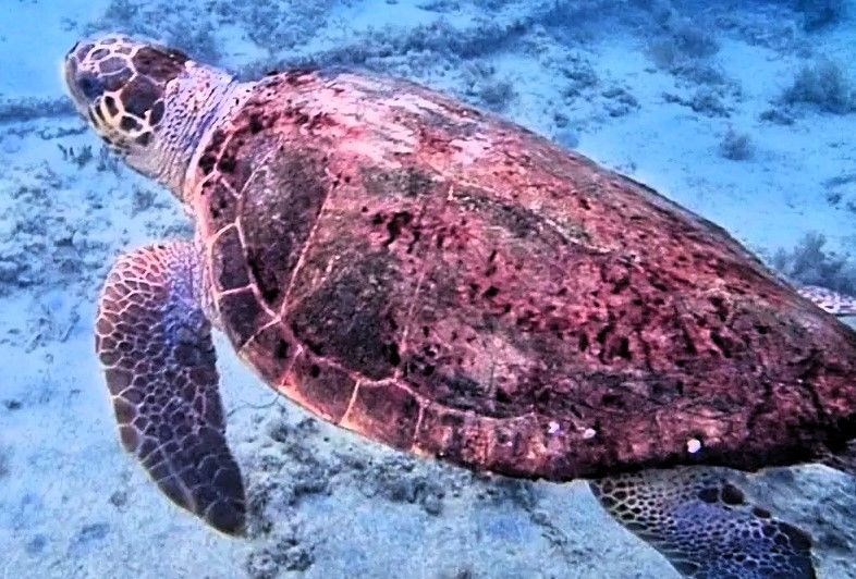 92989ccd-2d47-4720-a1bf-457ea8dbb3b9