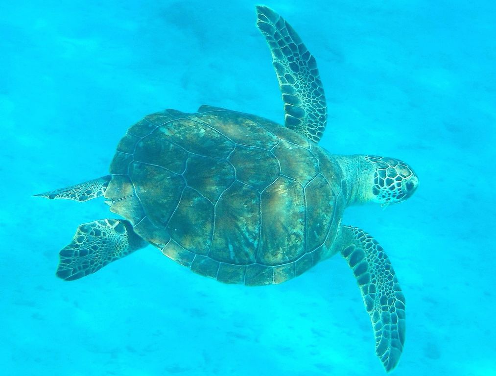 caddf327-05b3-4145-90bb-2e733089986f