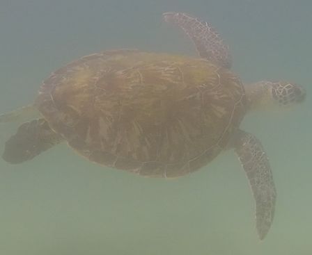 5bbc6b9f-a09a-4c5d-ab32-53a7fcca932a