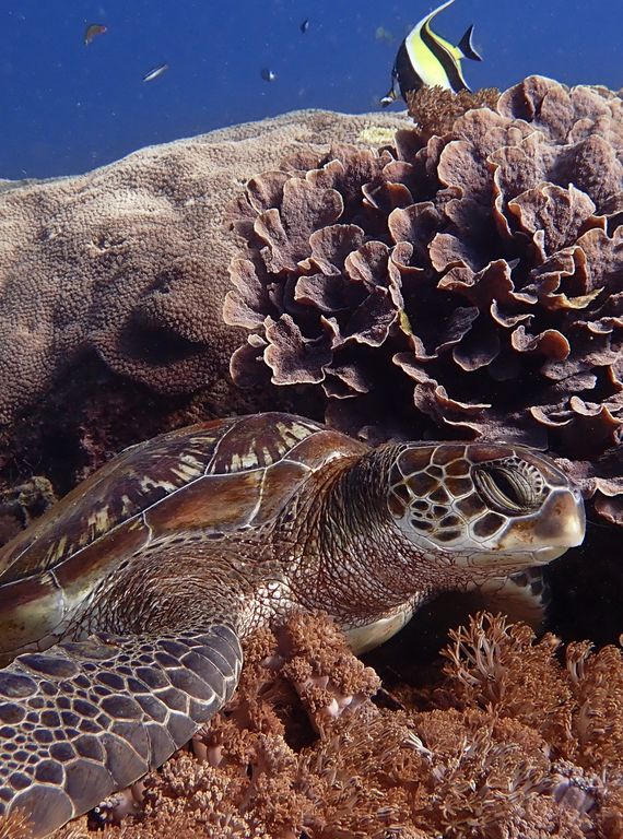 2f2ccabf-b721-4088-941b-0c098a8bef22