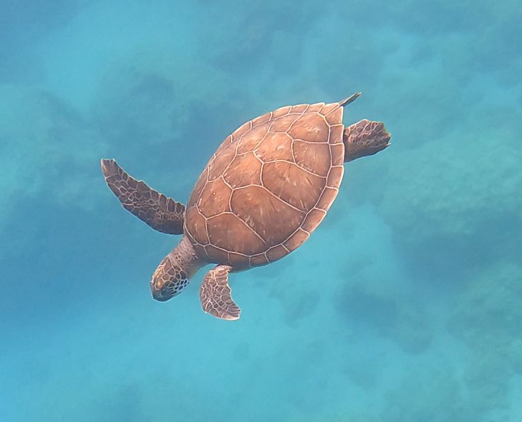 3a00fa41-ec0c-4c5c-aab2-b44d7dc4ac5a