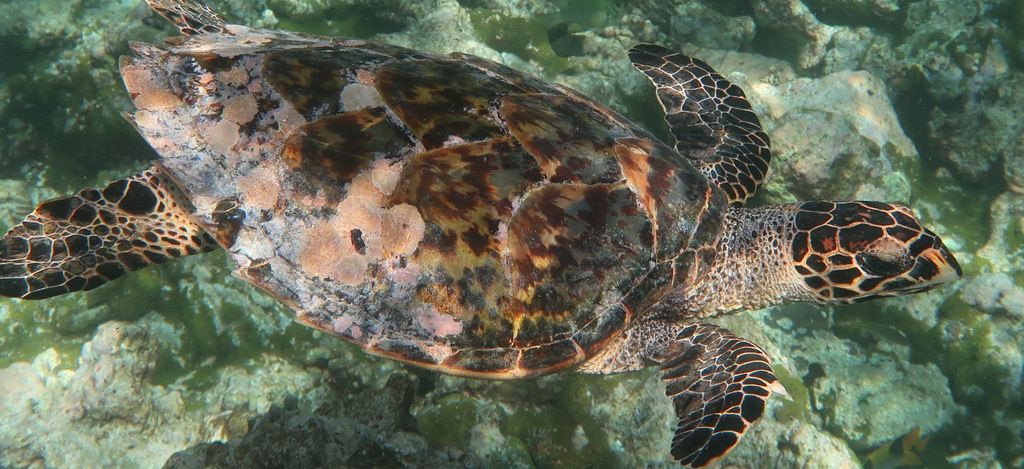 f3a0f362-632d-409c-ba17-1ab0d2547e90