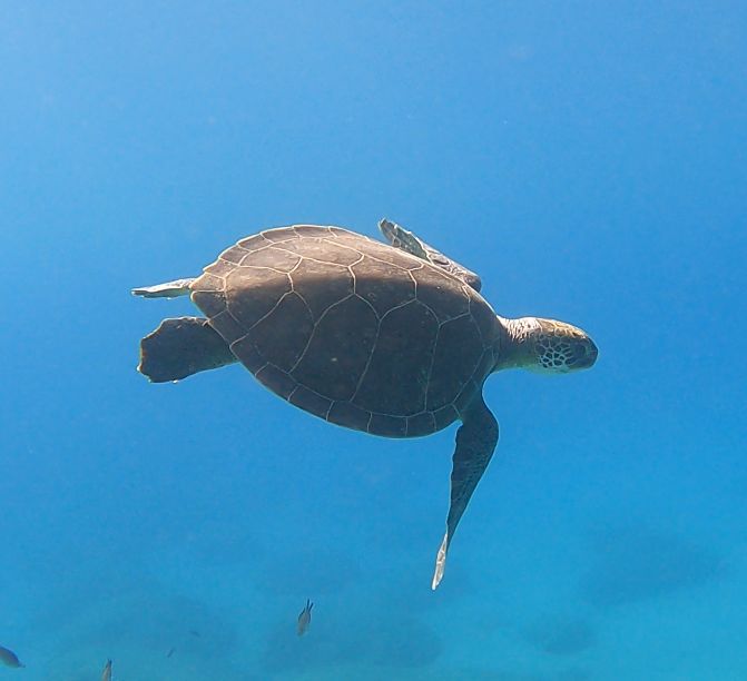 3a00fa41-ec0c-4c5c-aab2-b44d7dc4ac5a