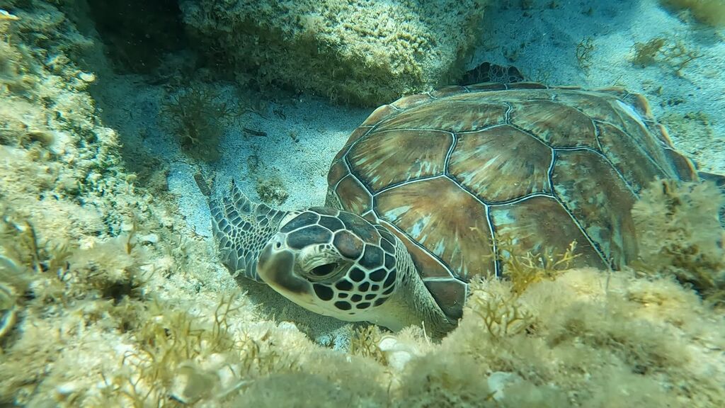 23406100-1857-4ba0-be91-1203d739867c