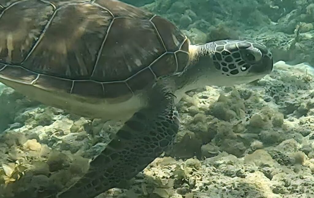 23406100-1857-4ba0-be91-1203d739867c