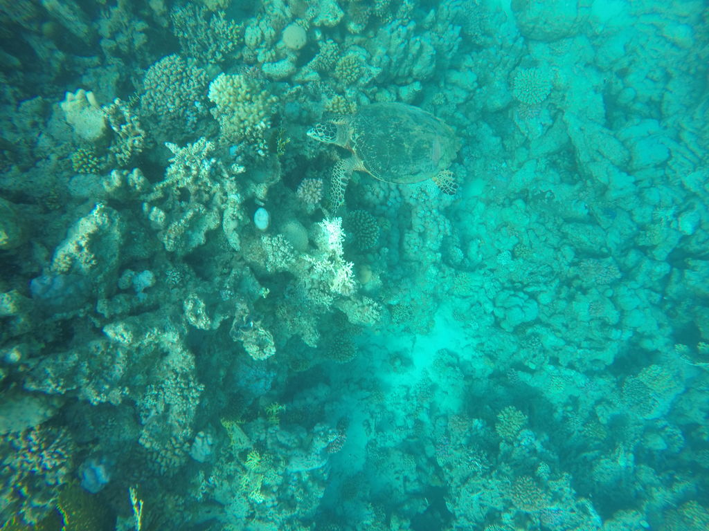 bd5a1fa3-2ef5-4113-836e-e6e4ced813fa