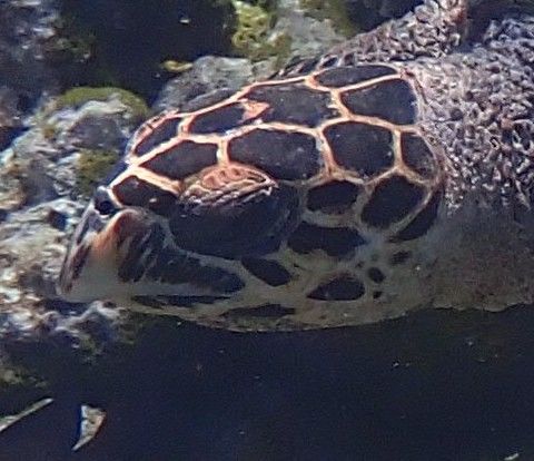 4044146b-cf4a-4cb5-b1c5-e2f95830c40d