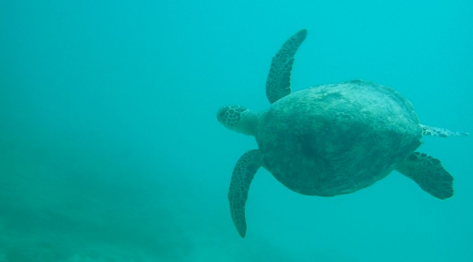 2aeb7cf7-829f-42bf-b437-0bf79b079a71