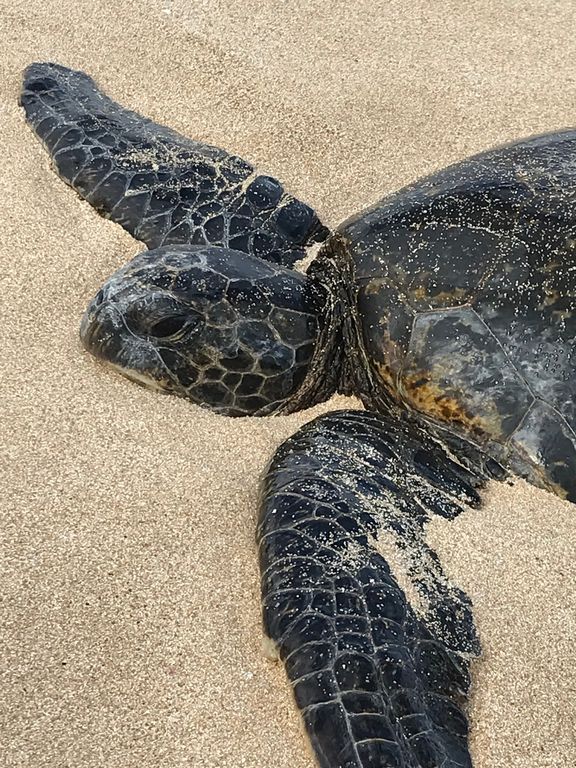 39001a5d-f0bd-4ba5-b08c-98552a4572bb