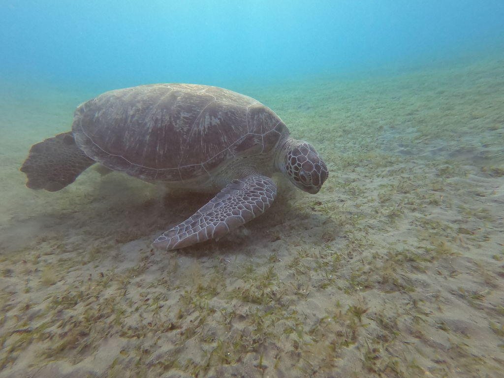 fac409f4-4b5c-41b6-bfe2-3fb84713fcc1