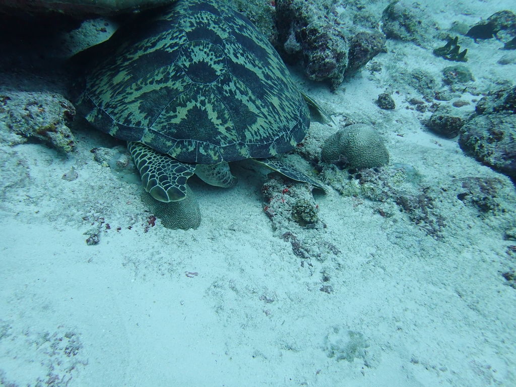 75742e25-b063-414c-b877-cd0b82383232