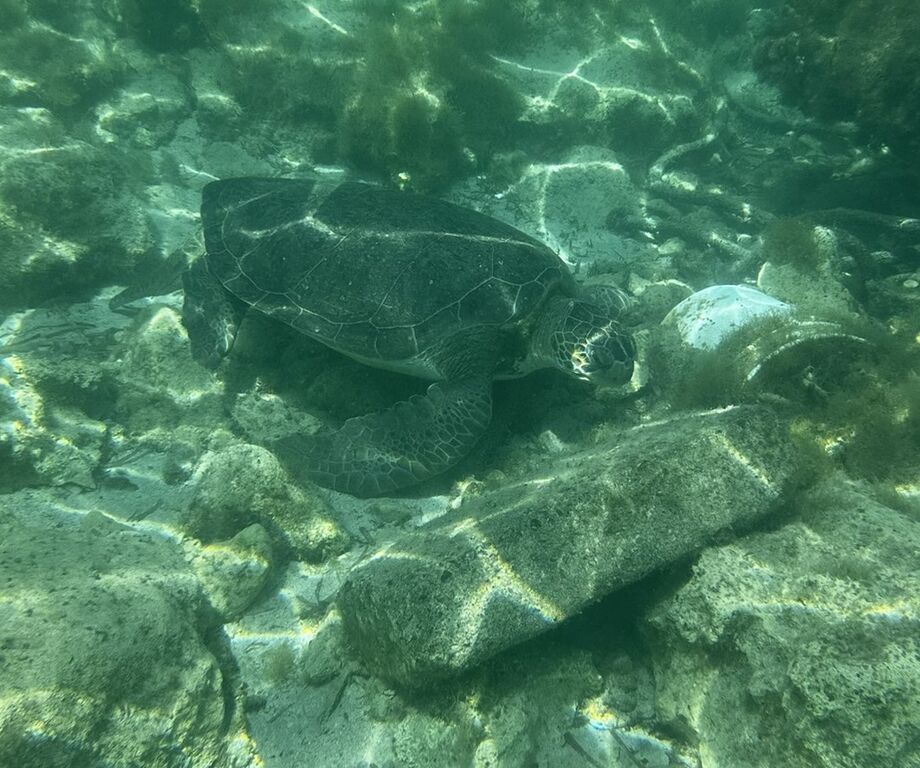 430d99f8-6401-4ee4-bdfb-b121fb98a742