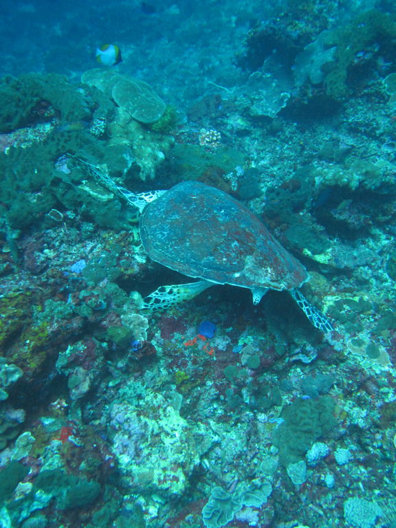 ac38d921-b73f-4f3d-bde3-44482709b3f9