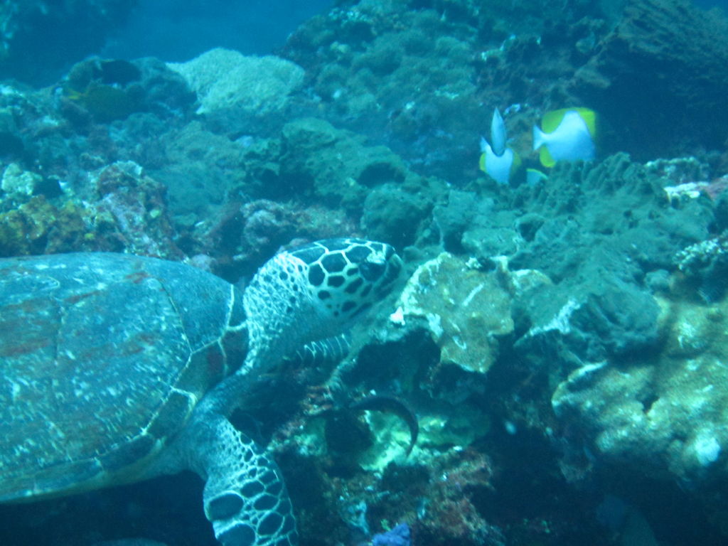 ac38d921-b73f-4f3d-bde3-44482709b3f9