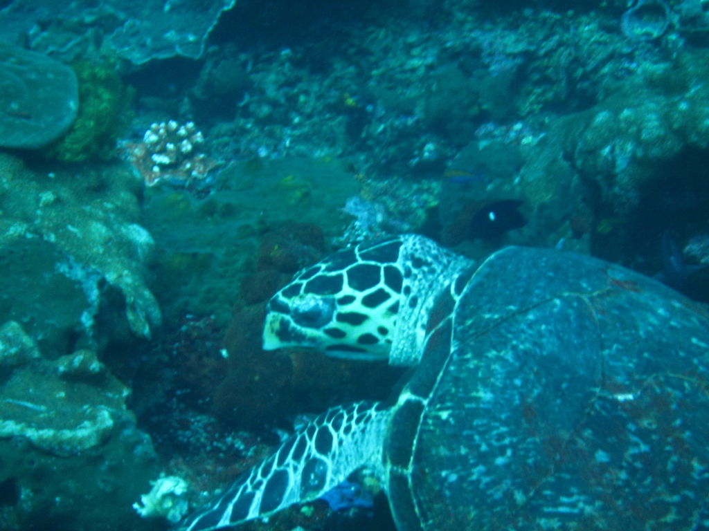 ac38d921-b73f-4f3d-bde3-44482709b3f9