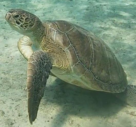 c246ae77-c0b5-4f6d-9a83-ce53c7ce4631