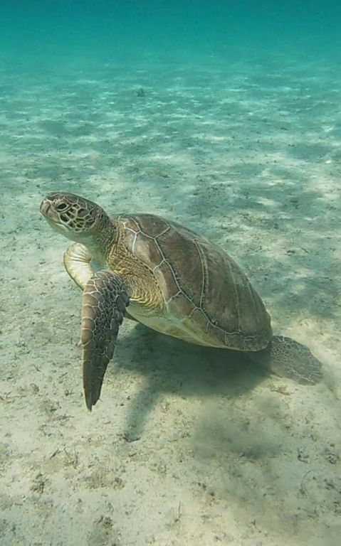 c246ae77-c0b5-4f6d-9a83-ce53c7ce4631