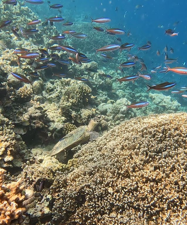 7d1a3be9-3338-45ec-8fe1-454888dd0af7