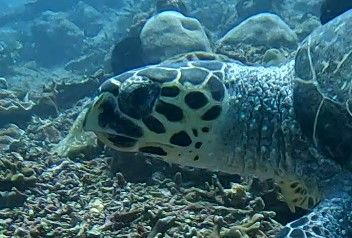 9952cb61-5ebb-4214-845a-e4ced2c058d2