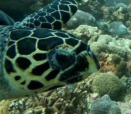 9952cb61-5ebb-4214-845a-e4ced2c058d2