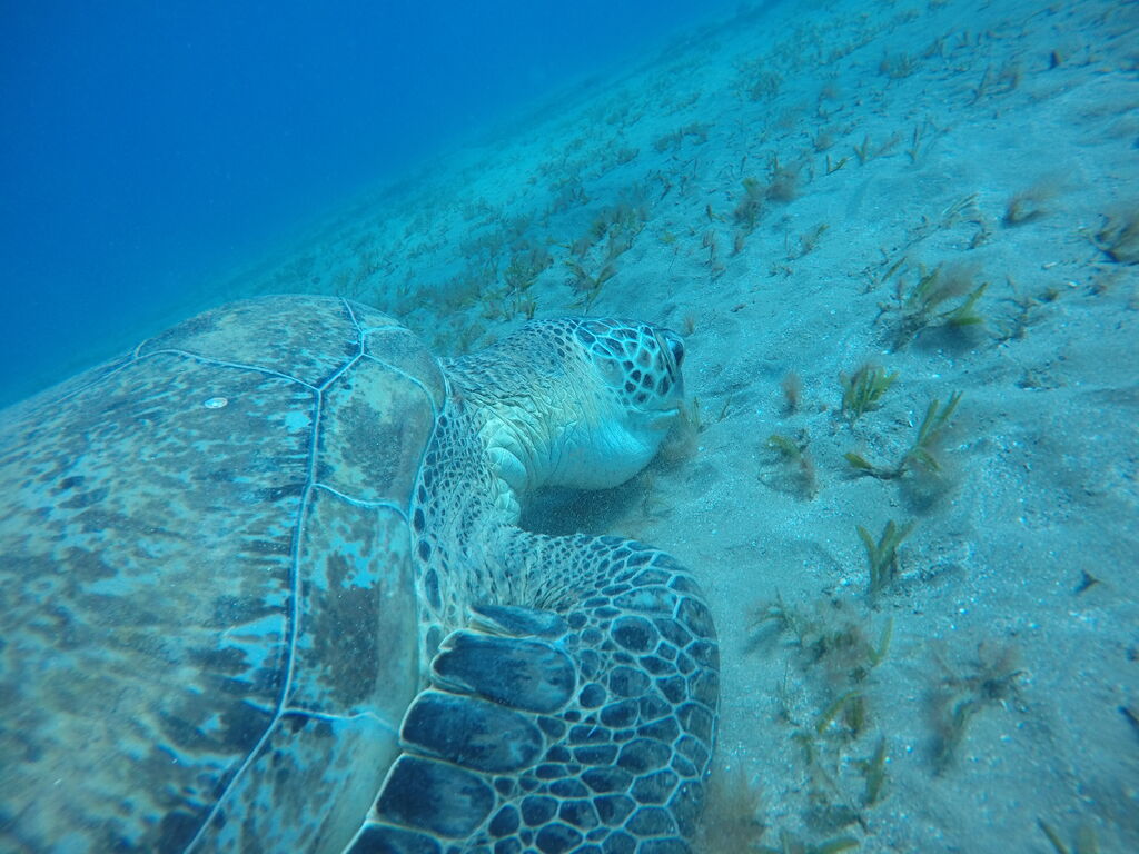 a5761297-d9e5-4d73-aa02-bd6b71730501