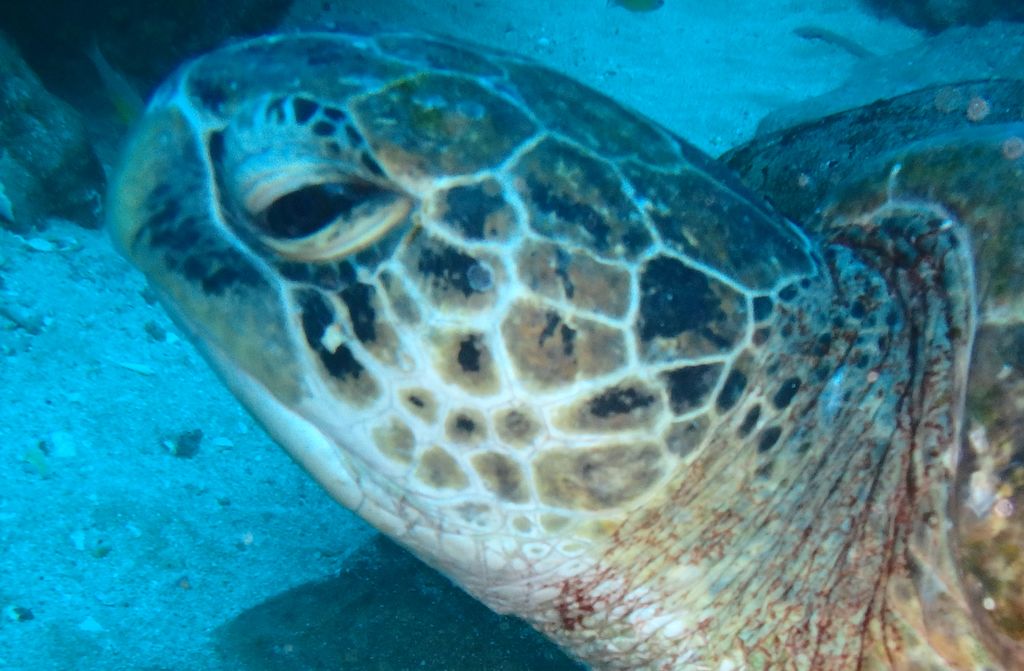 79135a1e-79ef-4a0e-adb2-9b32257f9725