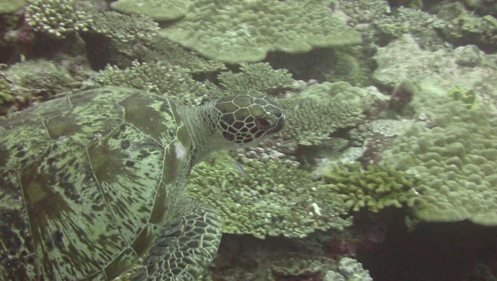 753ae98d-0e82-431e-8889-35deff516b2c