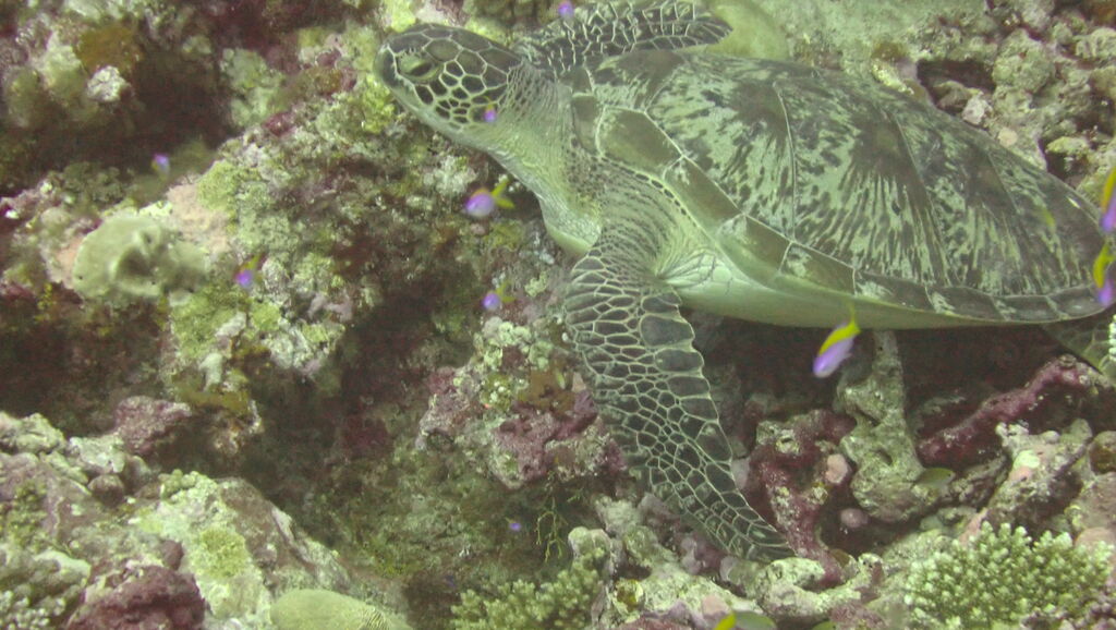 753ae98d-0e82-431e-8889-35deff516b2c