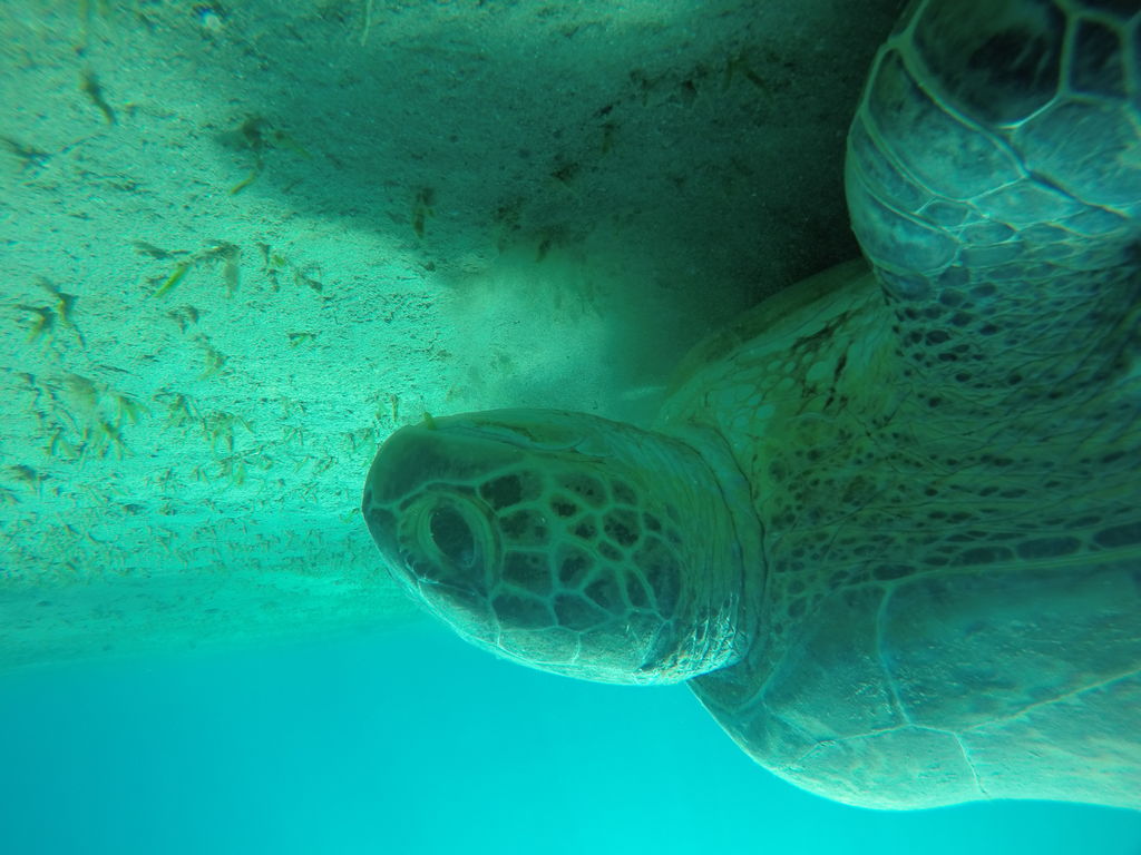 be467fe5-ea19-4c08-8c8a-5ef47dbc5df0