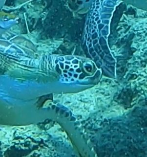 36191349-057f-4176-9e28-c085d5dd99a4