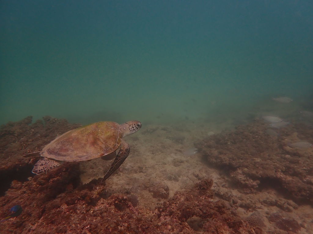 1adb12b3-768b-47ab-8b25-2dd38fce38b9