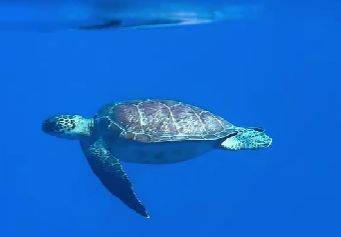 6e117df8-d587-4b13-84fc-d453f0f1c77c