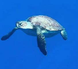 6e117df8-d587-4b13-84fc-d453f0f1c77c