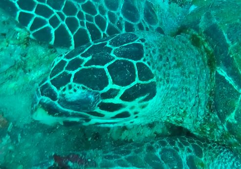 8dcd36ea-f2ea-4ad4-abf3-163061b12f25