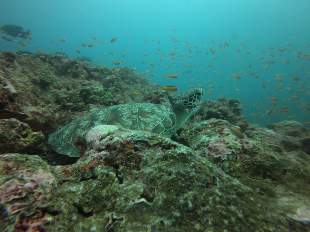 23bf17b1-c0a3-4ce8-9f4a-e7453f32ff60