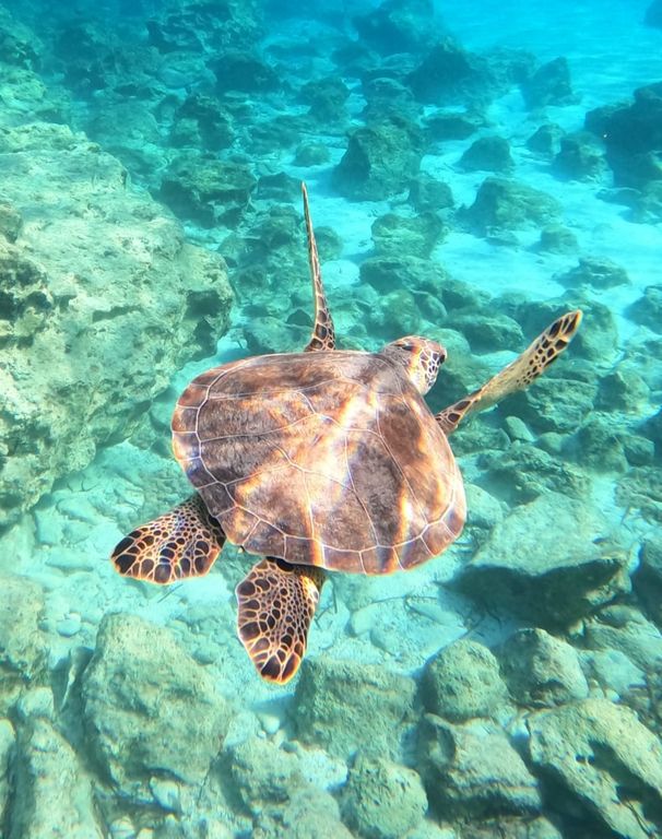 036cfe70-bcbb-4ae1-81eb-e0d5f6575de9