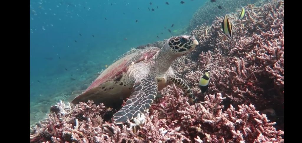 11ccb869-84b8-4279-bf0a-9b48d257e25a