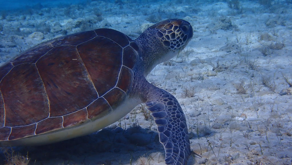 1c41368f-be56-4096-8157-4a0bf3967d55