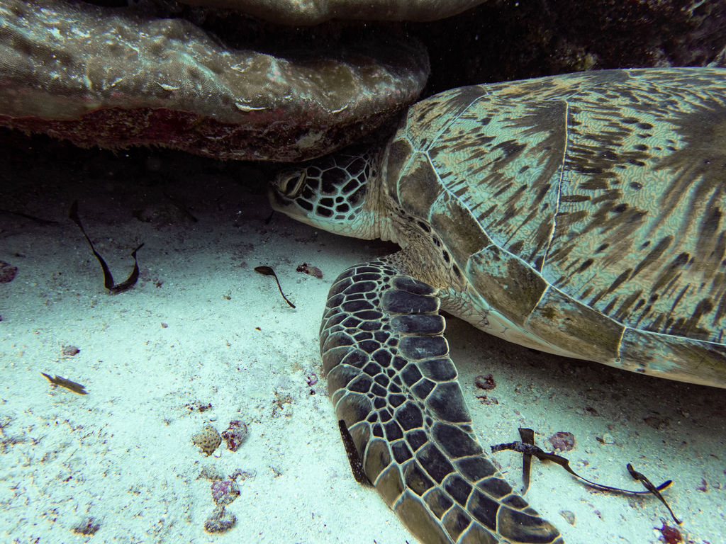 23bf17b1-c0a3-4ce8-9f4a-e7453f32ff60