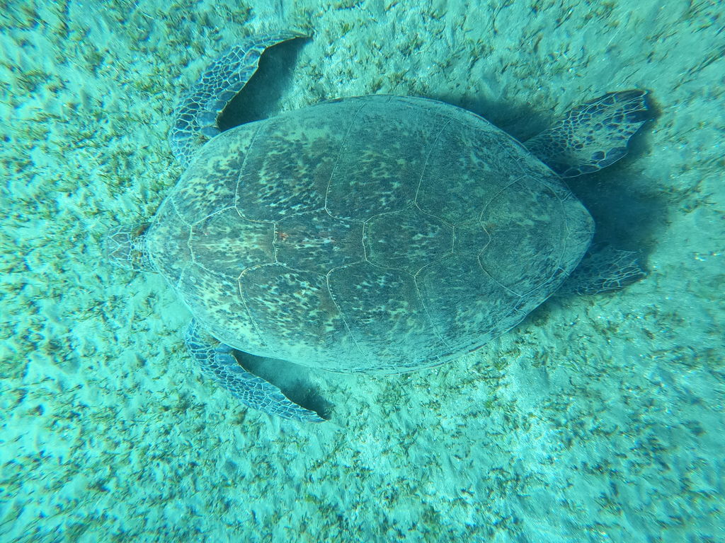 be467fe5-ea19-4c08-8c8a-5ef47dbc5df0