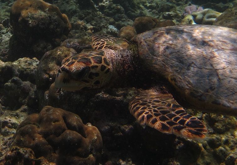 742b0310-ca9a-411f-bb60-2db0cbf4f924